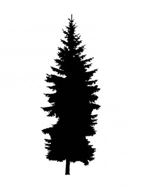 çam ağacı silüeti.
