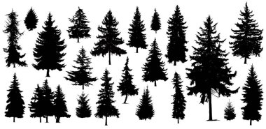silhouettes of pine trees.  clipart