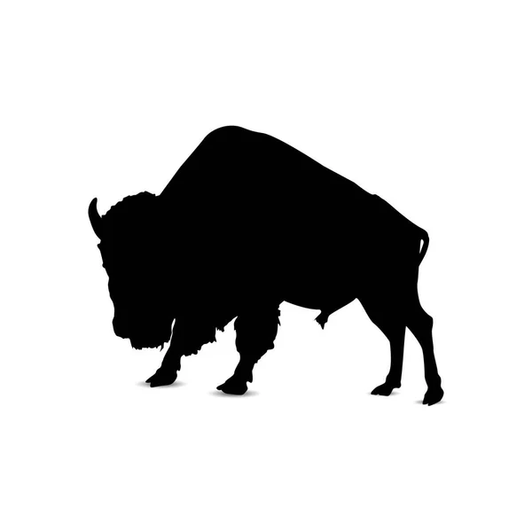 Silhueta de touro . — Vetor de Stock