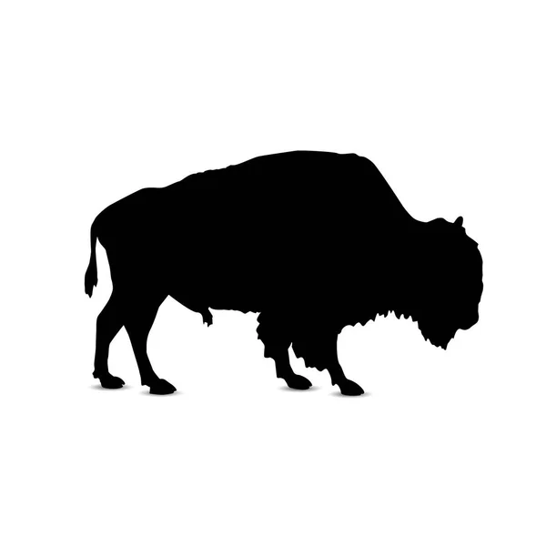 Silhuett av buffalo. — Stock vektor