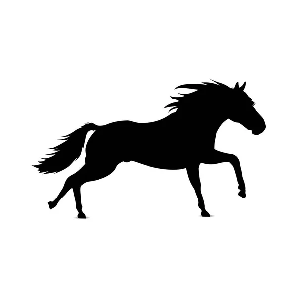 Silhouette des Pferdes. — Stockvektor
