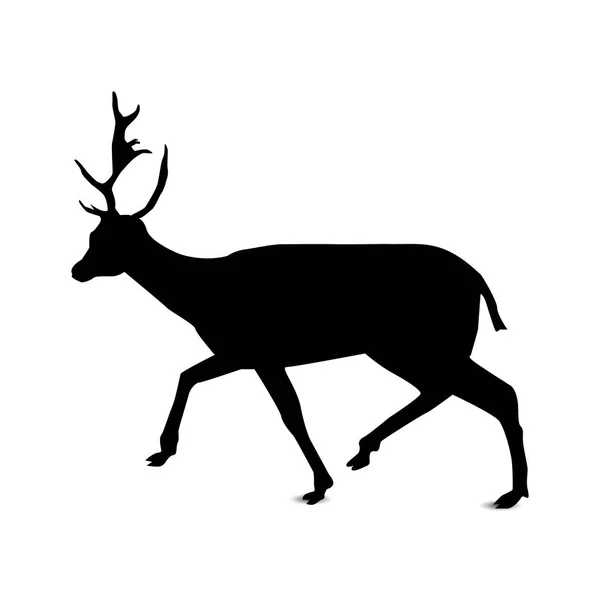 Silhouette de cerf . — Image vectorielle