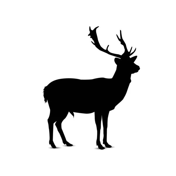 Silhouette of  deer. — Stock Vector