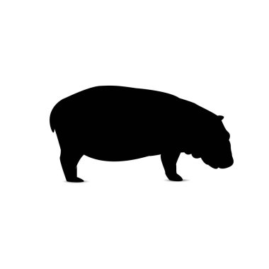 Su aygırı silüeti