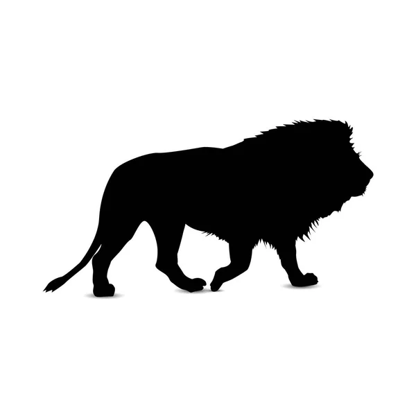 Silhouette of  lion. — Stock Vector