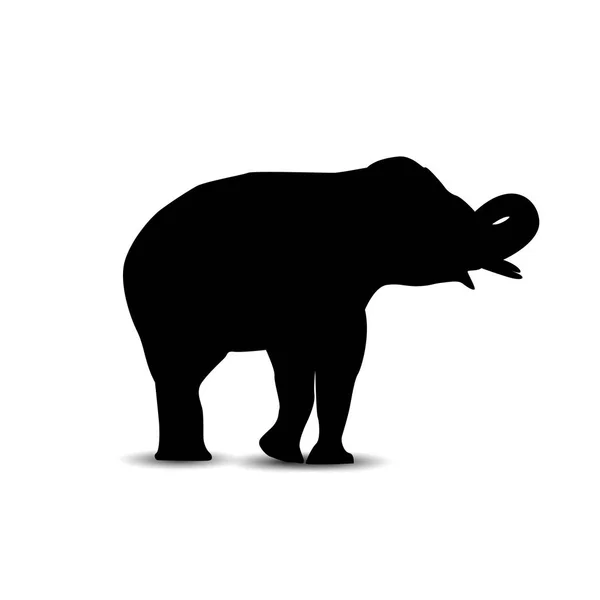 Silhuett av elefant. — Stock vektor