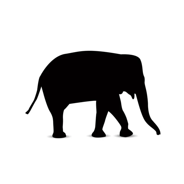 Silhouette of elephant. — Stock Vector