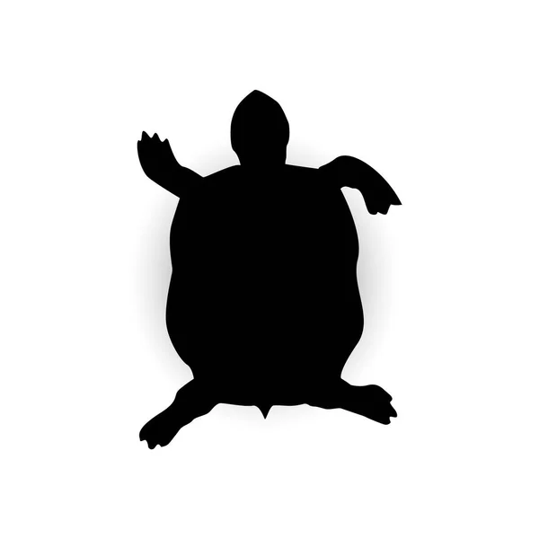 Silhuett av sköldpadda. — Stock vektor