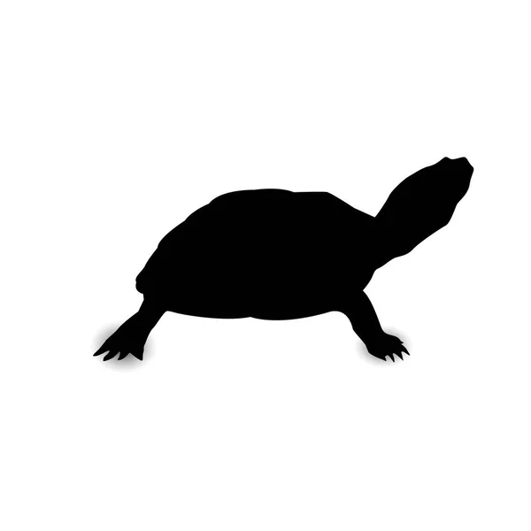 Silhuett av sköldpadda. — Stock vektor