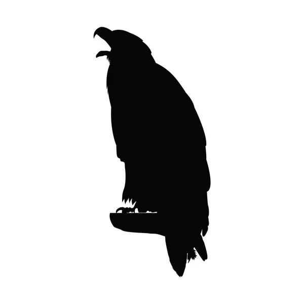 Silhouette d'aigle . — Image vectorielle