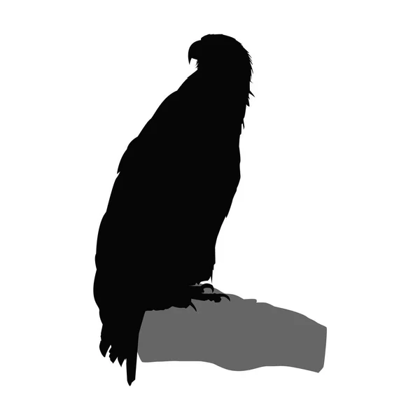 Silhouette d'aigle . — Image vectorielle