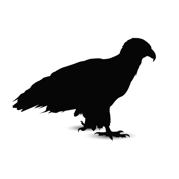 Silhouette d'aigle . — Image vectorielle