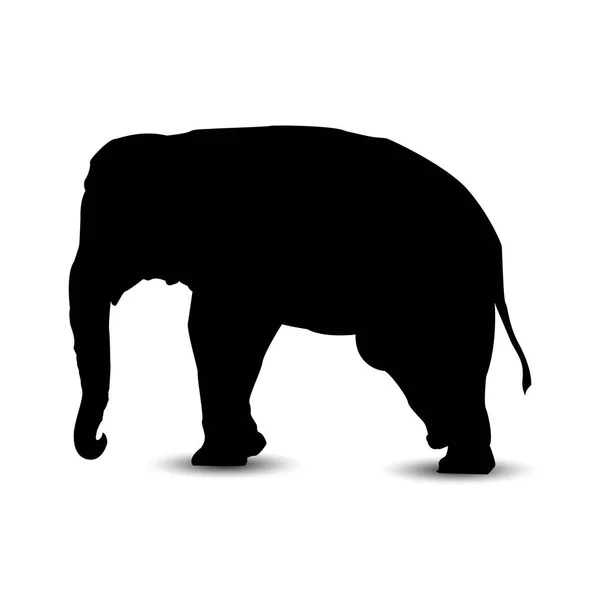 Silhouette di elefante . — Vettoriale Stock