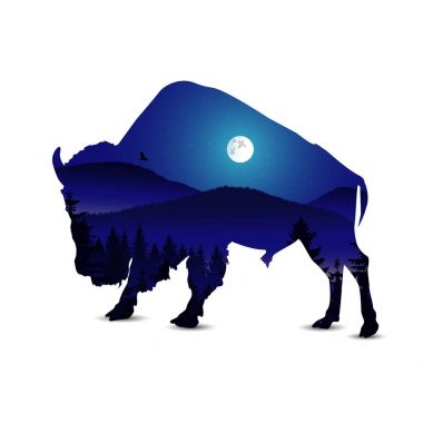 bizon silüeti