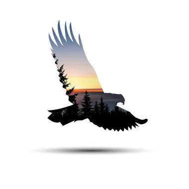 Silhouette of  eagle clipart
