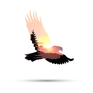 kartal silüeti