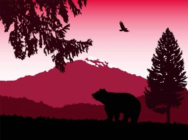 Görüntü doğa manzara 