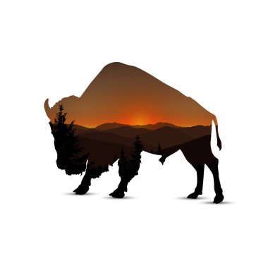  bizon silüeti
