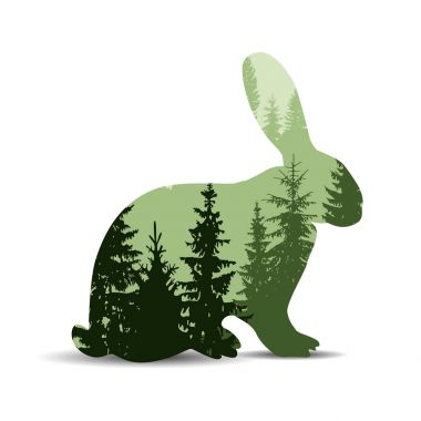 hare silüeti