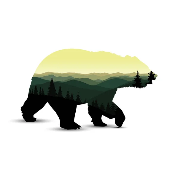 ลักษณะของหมี — ภาพเวกเตอร์สต็อก