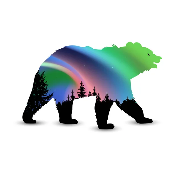 ลักษณะของหมี — ภาพเวกเตอร์สต็อก