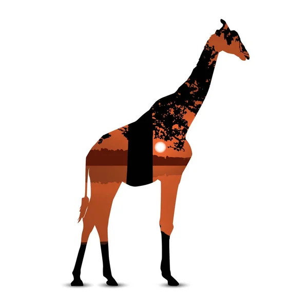 长颈鹿的剪影 — 图库矢量图片