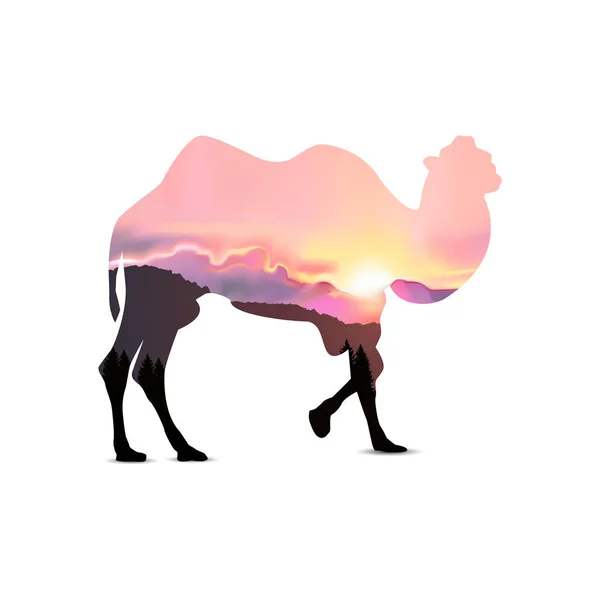 Σιλουέτα του καμήλα — Διανυσματικό Αρχείο