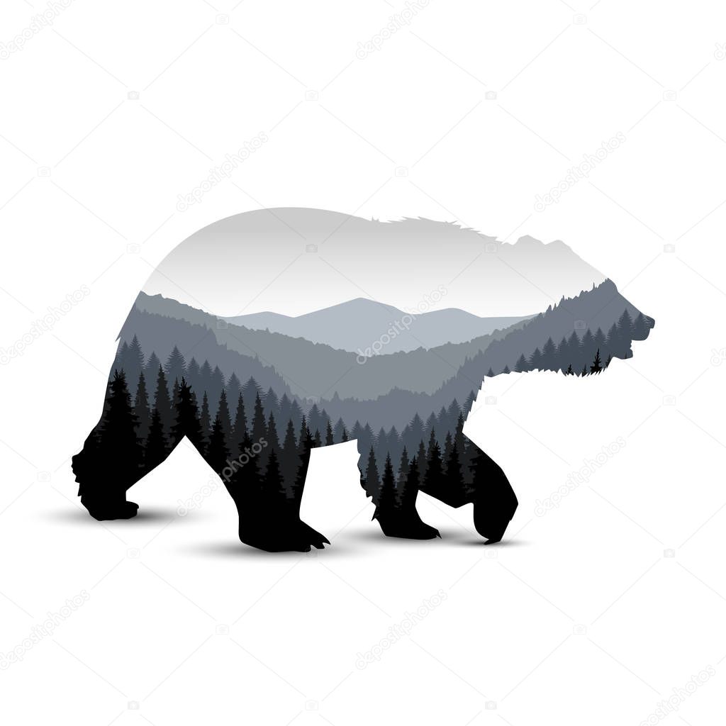 Silhouette of bear