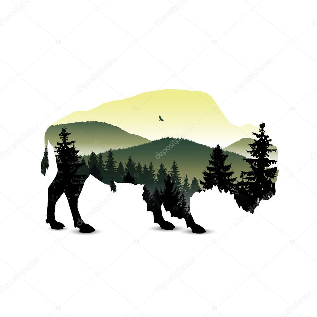 Silhouette of bison