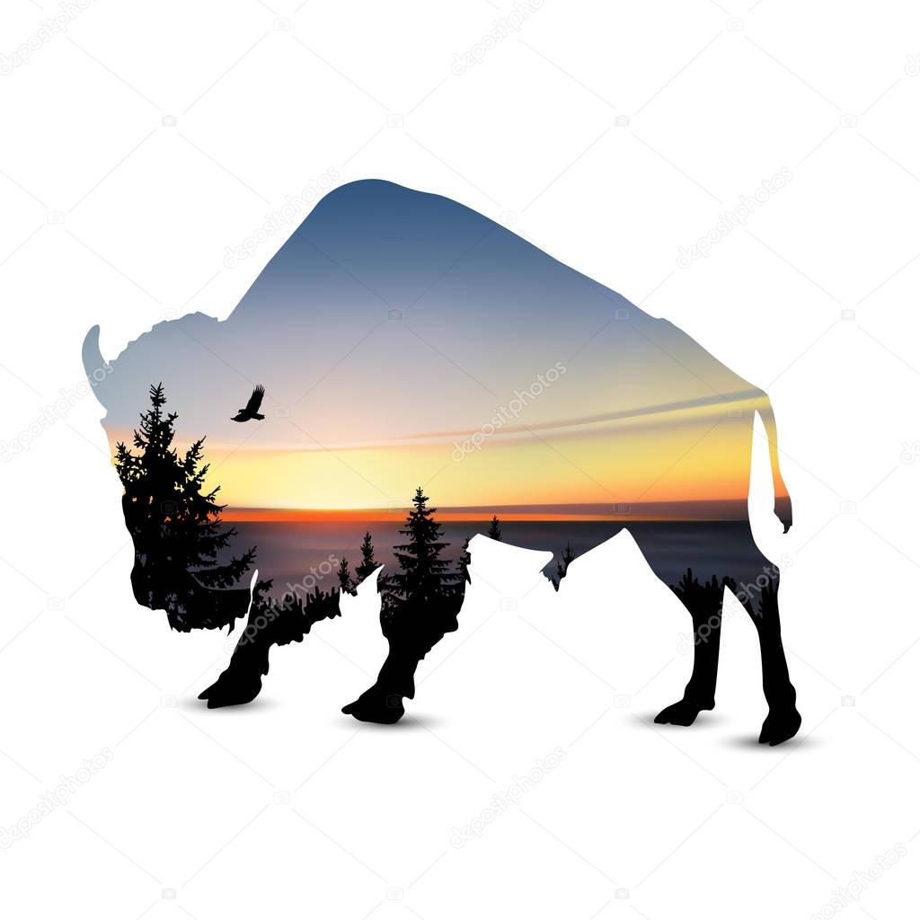  Silhouette of bison