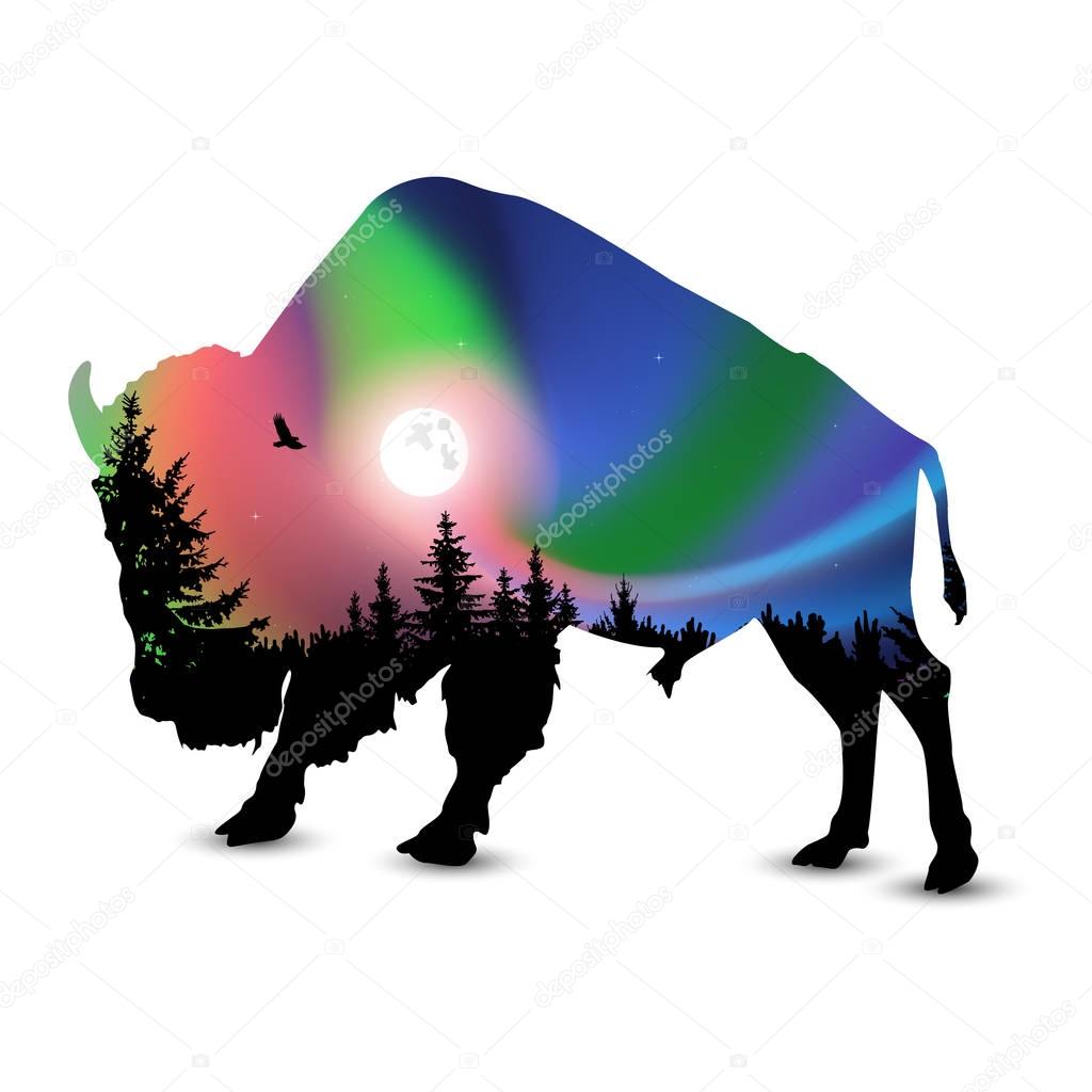  Silhouette of bison