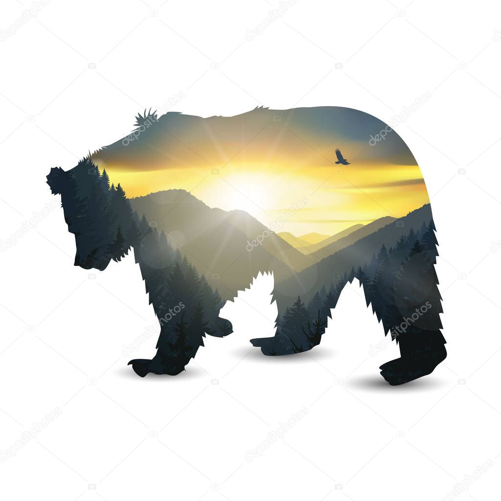  Silhouette of bear