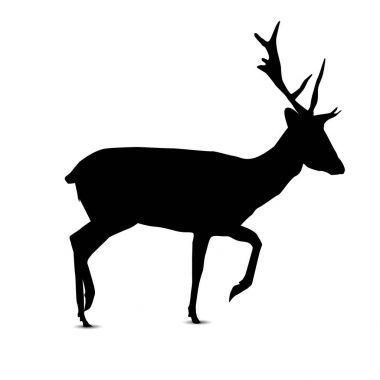 Uçan kartal silüeti