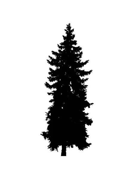 Silhouette Pine Tree Hand Made — Stock Photo, Image