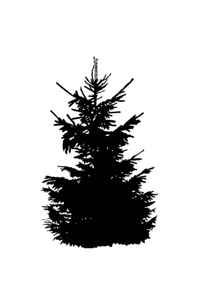 Silhouette Pine Tree Hand Made — Stock Photo, Image