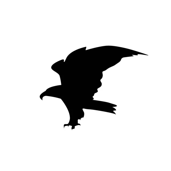 Silhouette Des Fliegenden Adlers — Stockfoto