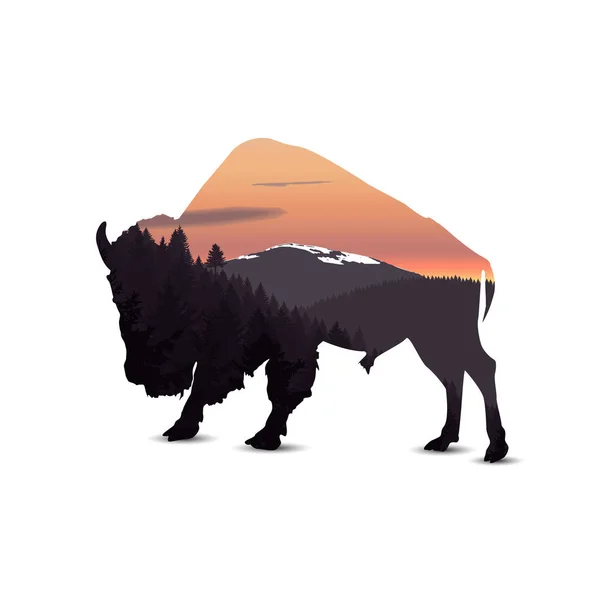 Silhouette von Bisons — Stockfoto