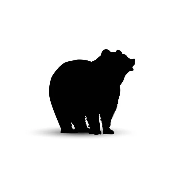 Silhouette of   bear. — Stock Photo, Image