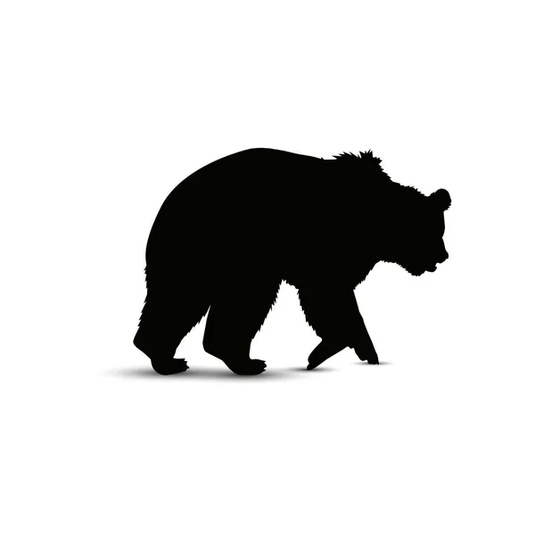 Silhouette di orso . — Foto Stock