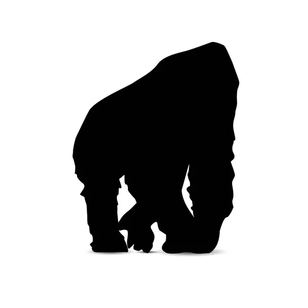 Silueta gorila. — Stock fotografie