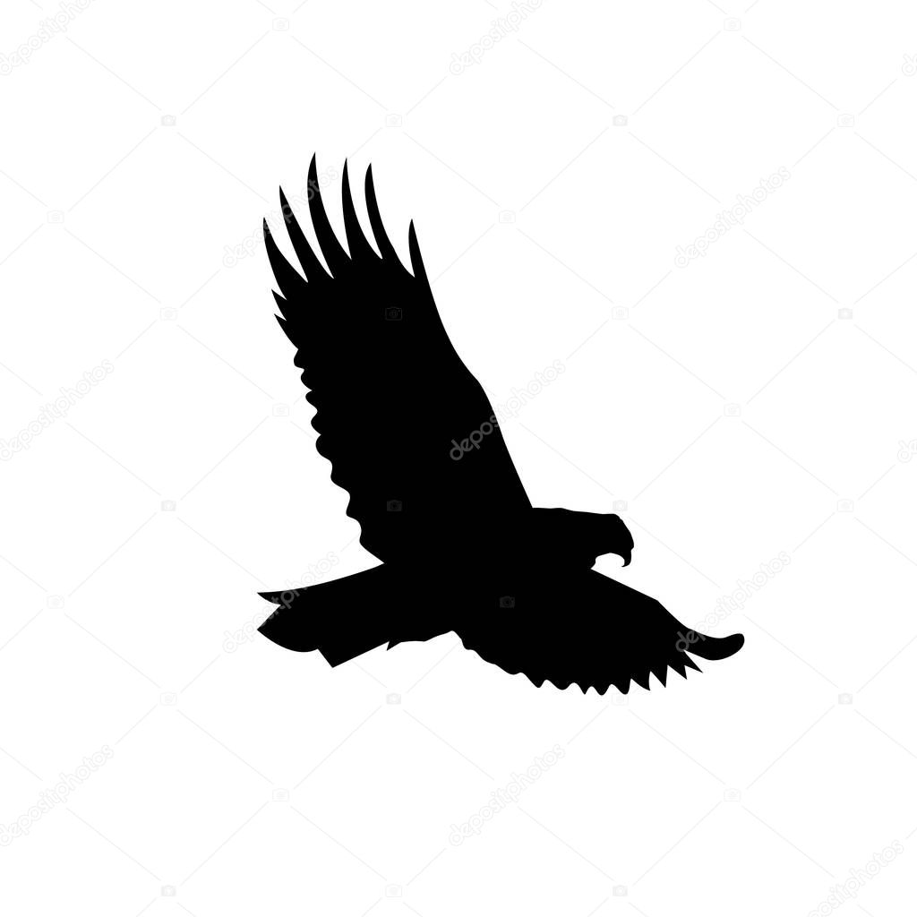 Silhouette of flying eagle