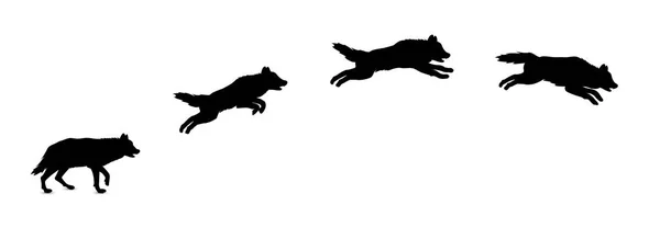 Silhouette Jumping Wolf — Stock Vector