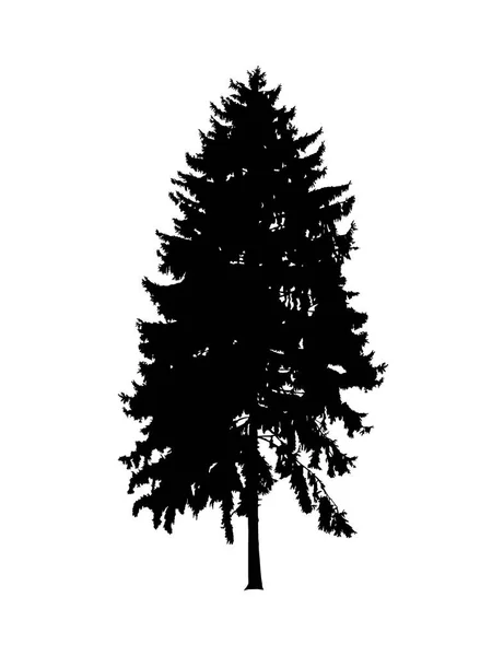 松树的轮廓 手工制作 — 图库矢量图片