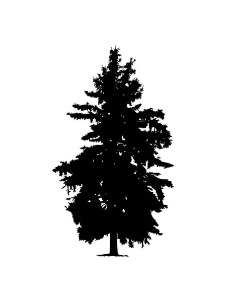 Silhouette Pine Tree Hand Made — Stock Vector