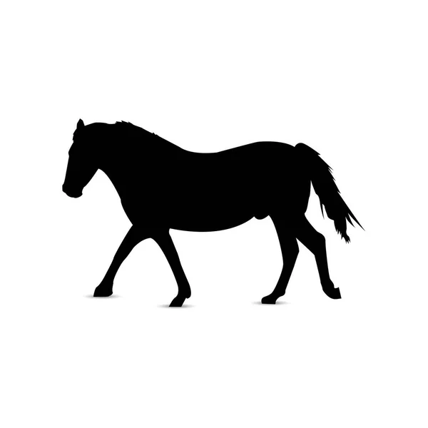 Silhouette Cheval Course Profil — Image vectorielle