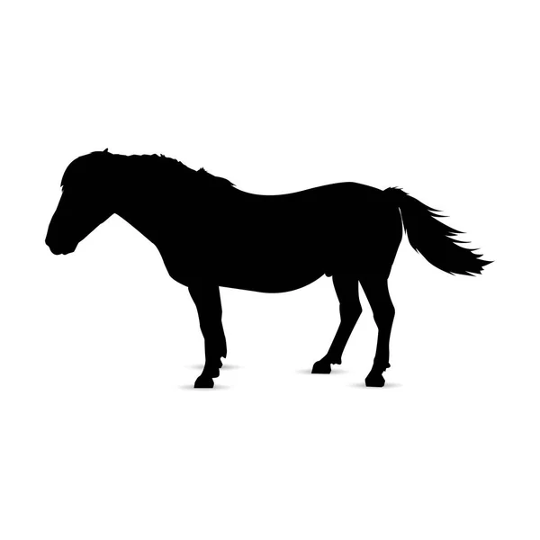 Silhouette Cheval Profil — Image vectorielle