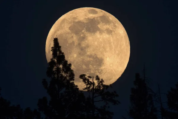 Lever de pleine lune — Photo