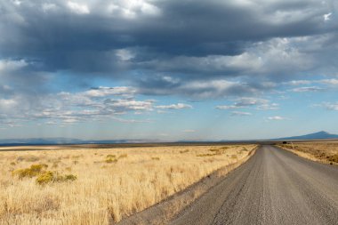 Hart Mountain yakınındaki açık yol