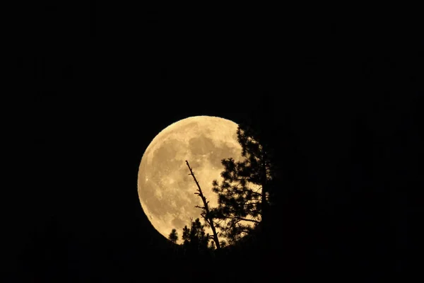 Full Moon Rising — Stock fotografie