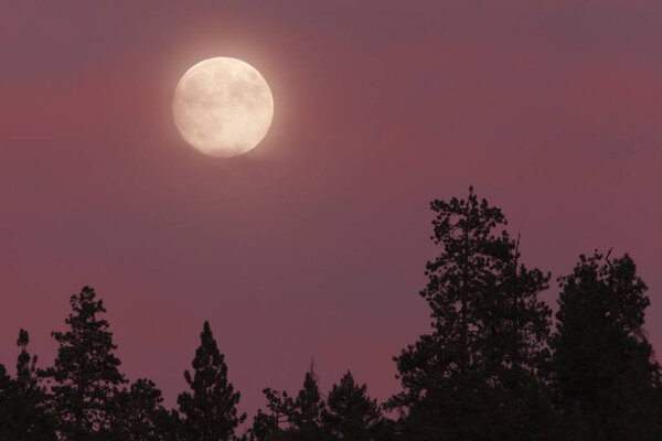 Blue moon, full moon